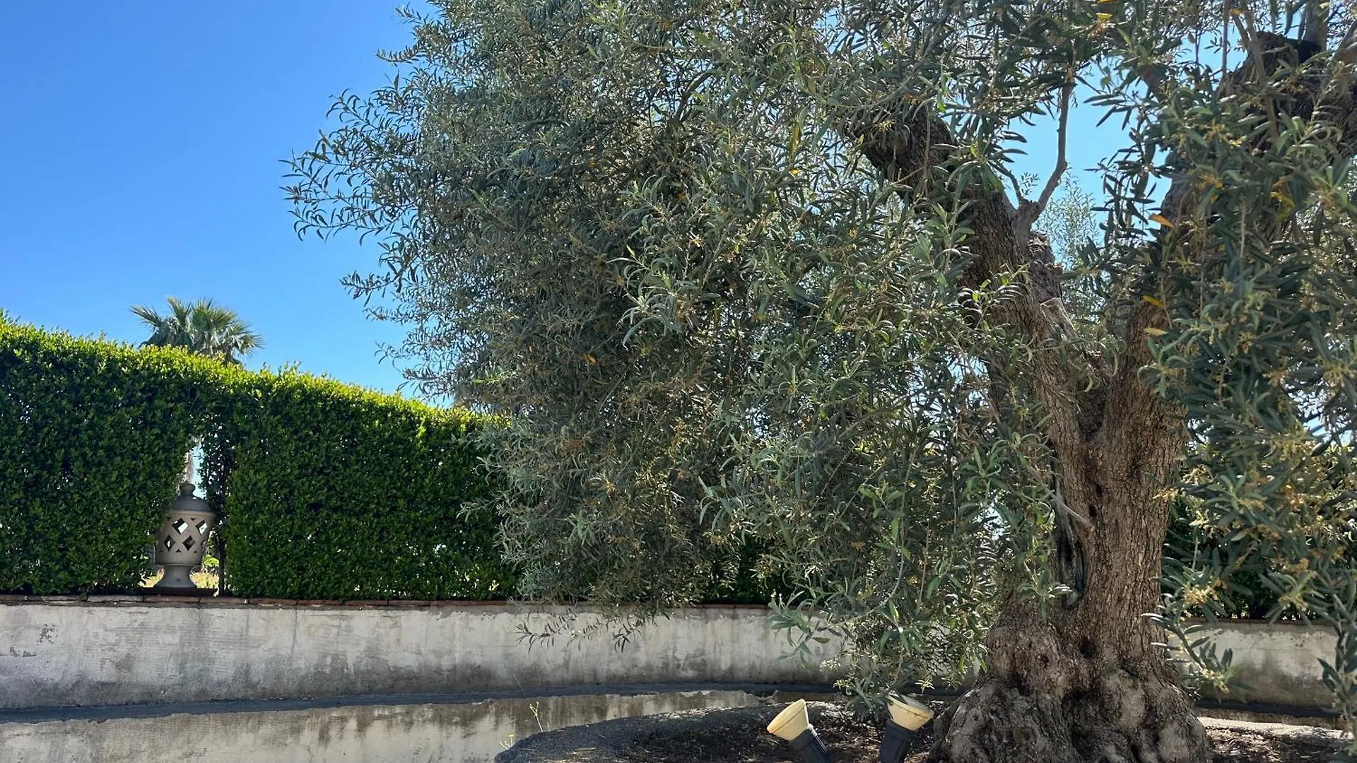Holiday home Villa Carlo Giarre Italy